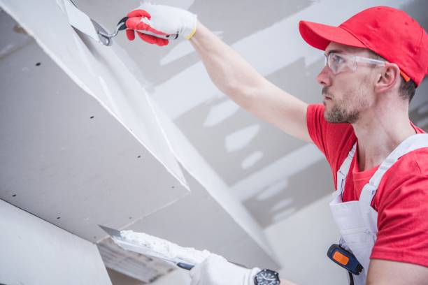 Best Drywall Sanding and Smoothing  in Bladenboro, NC